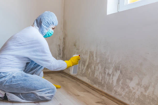 Crawl Space Mold Remediation treatment of floor joists in Still Pond